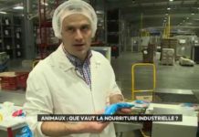 Nourriture pour animaux : que contient-elle vraiment ? Que-contient-vraiment-la-nourriture-pour-animaux-