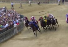 Le palio de Sienne Sans-frontieres-Le-palio-de-Sienne