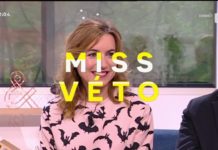 La phytothérapie pour soigner son animal Soigner-son-animal-avec-des-plantes-La-Quotidienne