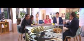 Comment bien choisir et bien entretenir ses tapis ? Tapis-comment-bien-les-choisir-et-bien-entretenir-