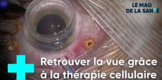 Eviter la cécité grâce à une thérapie cellulaire Une-therapie-cellulaire-pour-eviter-la-cecite-Le
