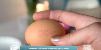 Marquage sur les oeufs : apprenez à le déchiffrer Apprendre-a-dechiffrer-le-marquage-sur-les-oeufs
