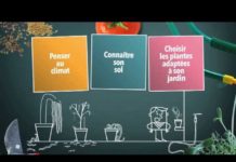 Jardiner autrement : pensez à anticiper ! Consomag-jardiner-autrement-pensez-a-anticiper-