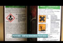 Les pesticides sont-ils dangereux pour nous ? Consomag-pesticides-sont-ils-dangereux-pour-nous-