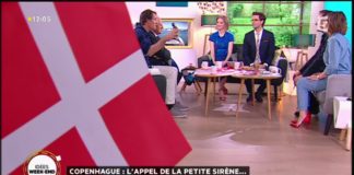 L’appel de la petite sirène de Copenhague Copenhague-lappel-de-la-petite-sirene