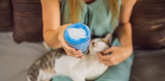 La recette du latte de licorne, la boisson détox de l’hiver Decouvrez-la-recette-du-latte-de-licorne-la-boisson-bien-etre-et-detox-a-consommer-pour-retrouver-la-forme-cet-hiver