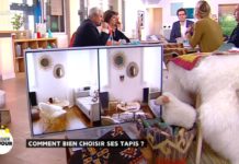 Comment bien choisir ses tapis ? Dossier-du-Jour-Comment-bien-choisir-ses-tapis-