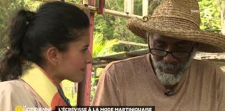 Escale en Martinique : les écrevisses Escale-en-Martinique-les-ecrevisses