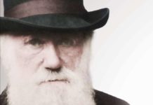 L’évolution, la révolution de Darwin L039evolution-une-revolution-menee-par-Darwin