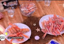 Tout sur les langoustines Notre-produit-du-jour-les-langoustines