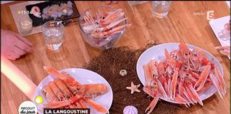 Tout sur les langoustines Notre-produit-du-jour-les-langoustines