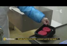 Comment sont fabriqués les steaks hachés industriels ? Steaks-haches-industriels-comment-sont-ils-fabriques-