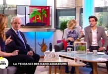 Les nano-aquariums Tous-savoir-sur-les-nano-aquariums