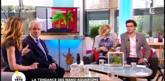 Les nano-aquariums Tous-savoir-sur-les-nano-aquariums