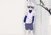 Hunter X hunter hunter