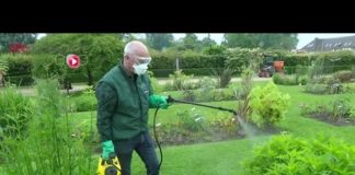 Prévenir les accidents de jardinage plutôt que guérir Accidents-de-jardinage-prevenir-plutot-que-guerir-L