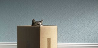 Quels recours contre les vices cachés dans l’immobilier ? Achat-immobilier-quels-recours-ai-je-contre-les-vices-caches-