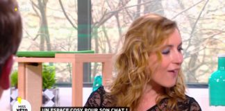 Comment aménager avec goût et intelligence son intérieur pour son chat ? Amenager-avec-intelligence-et-gout-son-interieur-pour-son-chat