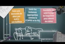 Expulsion : prévention et recours pour le locataire Consomag-Expulsion-prevention-et-recours-pour-le-locataire