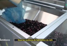Dans les coulisses de fabrication du café Dans-les-coulisses-de-fabrication-du-cafe-La-Quotidienne