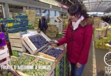 Découvrez les fruits et légumes d’automne à Rungis Gourmand-Fruits-et-legumes-dautomne-a-Rungis-20150930