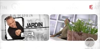 Les légumes perpétuels Jardin-Les-legumes-perpetuels