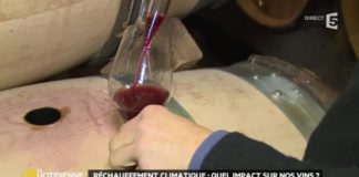 Quel impact du du réchauffement climatique sur nos vins ? Rechauffement-climatique-quel-impact-sur-nos-vins-