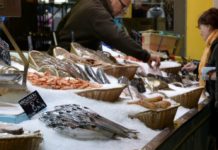 Quelles espèces de poissons faut-il éviter de consommer pour éviter la surpêche ? Surpeche-quelles-especes-de-poissons-faut-il-eviter-de-consommer-