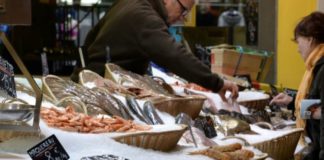 Quelles espèces de poissons faut-il éviter de consommer pour éviter la surpêche ? Surpeche-quelles-especes-de-poissons-faut-il-eviter-de-consommer-