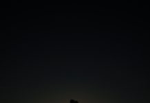 Les extrêmes ne s’attirent plus en amour Amour-les-opposes-ne-sattirent-plus-selon-la-science