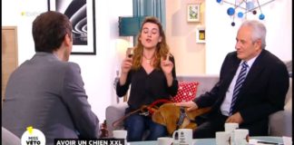 Avoir un chien XXL Avoir-un-chien-XXL