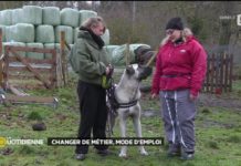 Comment changer de métier ? Changer-de-metier-mode-demploi