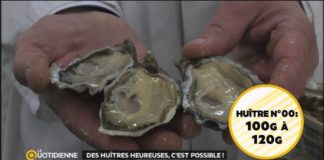 Huîtres : comment bien les choisir ? Comment-bien-choisir-ses-huitres-