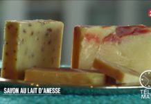 Des savons au lait d’ânesses bio Conso-Des-savons-au-lait-danesses-bio-20160310