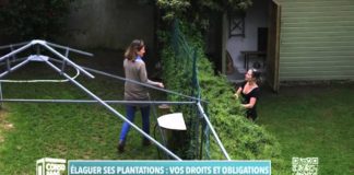 Vos droits et obligations pour l’élagage de vos plantations Consomag-elaguer-ses-plantations-vos-droits-et-obligations