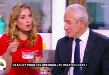 Les grenouilles multicolores comme animaux de compagnie Craquez-pour-les-grenouilles-multicolores-