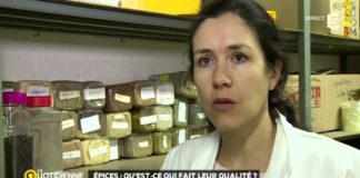 Qu’est-ce qui fait la qualité des épices ? Epices-quest-ce-qui-fait-leur-qualite-