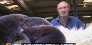 Comment est fabriquée la fausse fourrure ? Fausse-fourrure-comment-est-elle-fabriquee