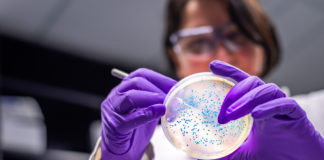 Pourquoi la bactérie E.coli est-elle dangereuse ? Flambee-de-cas-E coli-pourquoi-cette-bacterie-est-elle-dangereuse-