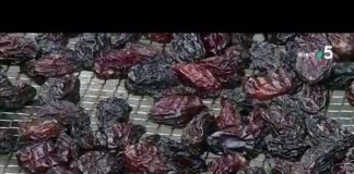 Les secrets de fabrication du pruneau d’Agen Fruits-secs-les-secrets-de-fabrication-du-pruneau-dAgen