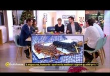 Quel est le meilleur rapport qualité-prix entre homard et mangouste ? Langoustes-homards-quel-est-le-meilleur-rapport-qualite-prix-