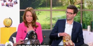 Les vacances avec son animal, ça se prépare ! Les-vacances-ca-se-prepare-