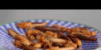 Est-il sans risques de manger des insectes ? Manger-des-insectes-est-ce-sans-risque-