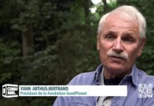 Recycler ses idées pour moins gaspiller Recycler-ses-idees-pour-moins-jeter