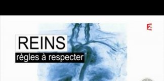 Protégez vos reins Sante-Je-protege-mes-reins