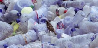 La dernière génération du bio plastique Sciences-Le-bio-plastique-derniere-generation