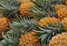 La Réunion : l’île intense côté terre Voyages-Vert-Vous-La-Reunion-lile-intense-cote-terre