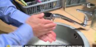 Où sont les bactéries et comment s’en protéger ? Bacteries-ou-sont-elles-et-comment-sen-proteger-