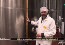 Comment les cidres aromatisés sont-ils fabriqués ? Cidres-aromatises-comment-sont-ils-fabriques-La-Quotidienne