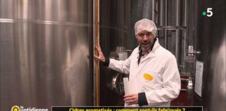Comment les cidres aromatisés sont-ils fabriqués ? Cidres-aromatises-comment-sont-ils-fabriques-La-Quotidienne